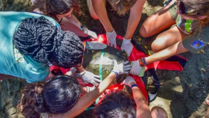 A group of students gathered around a turtle.