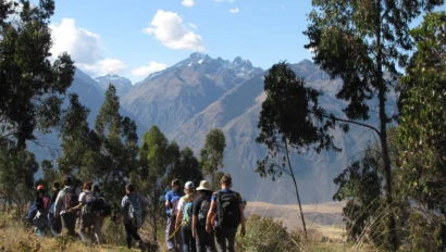 A group of hikers walks along a trail surrounded by trees, with mountains visible in the background under a clear blue sky.