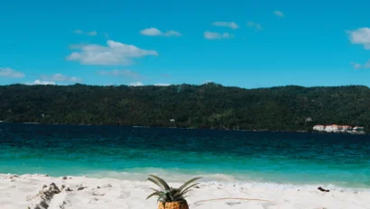 A pineapple sits upright on white sand with the ocean and a forested shoreline in the background under a clear blue sky, capturing the tropical vibe of an ideal pre med travel program destination.