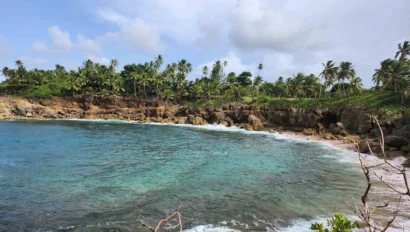A rocky beach with lush palm trees and clear blue water under a partly cloudy sky.