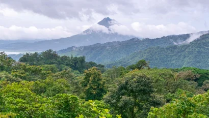 Mountain peak surrounded by mist, overlooking a dense forest with lush greenery under a cloudy sky.