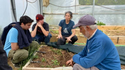 A school group travel experience unfolds as four people sit and kneel around a raised garden bed inside a greenhouse, observing and discussing the plants growing in the soil.