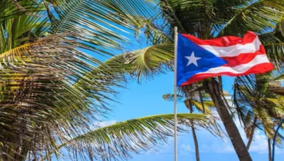 A flag outside with palm trees in the background.