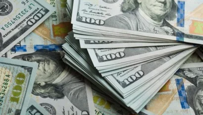 |||||Lush green rain forest with several white birds flying away|terraced hills of Sacred Valley in Peru||