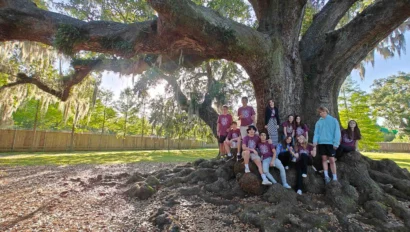 A group of people posing on and around the roots of a large tree in a sunlit park.