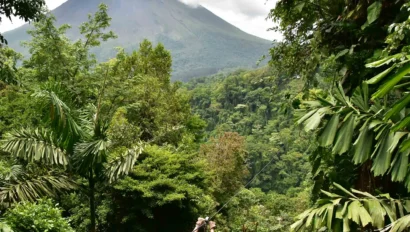 A person zip-lining through lush green forest with a large conical mountain in the background.