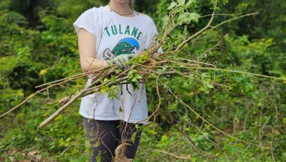 A person in a white t-shirt is standing outdoors holding a bundle of plants and roots, with trees and a blue sky in the background.