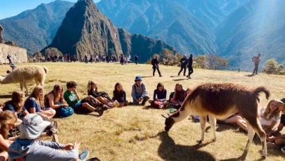 A group of people sitting in a circle on grass with llamas nearby, surrounded by mountains under a clear blue sky.