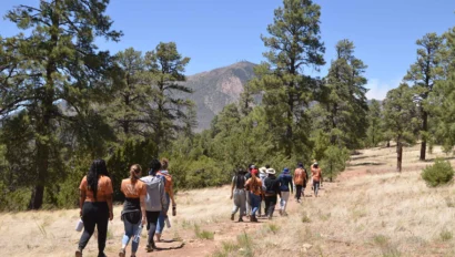 A group of people hiking on a trail through a grassy area with tall trees and a mountain in the background.