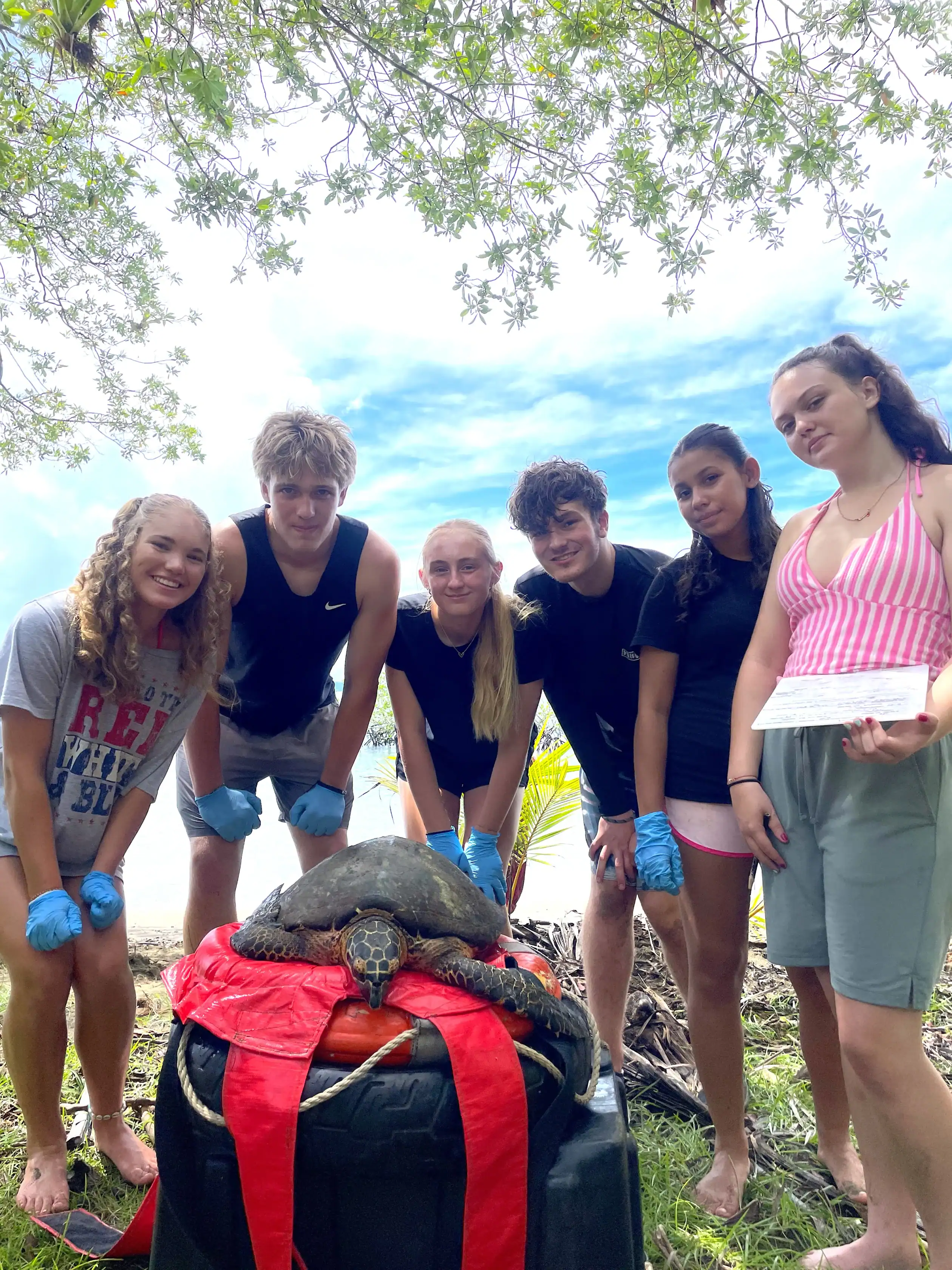 Six young people on teen service trips stand outdoors around a turtle on a padded platform, smiling at the camera. Some wear gloves, and one holds a clipboard. Trees and sky are visible in the background.